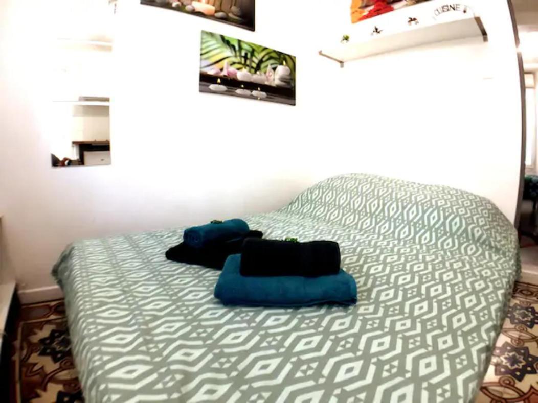 Apartament Quartier Rangueil, Agreable 2 Pieces Tout Confort Tuluza Zewnętrze zdjęcie